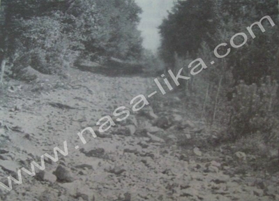 http://slike.nasa-lika.com/albums/Slike%20za%20Forum/Struppijeva%20Jozefinska%20cesta/1.jpg