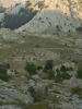 Velebit_15.jpg